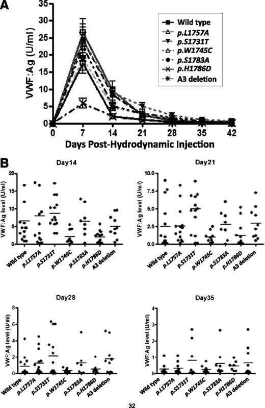 Figure 4. Expression of mVWF in VWF−/− mice after hydrodynamic injection. (A) VWF:Ag levels after hydrodynamic injection (group data). VWF−/− mice were sampled every 7 days after hydrodynamic injection of the VWF expression plasmid (n > 8 for each group). (B) VWF:Ag levels after hydrodynamic injection (individual mouse responses). VWF knockout mice expressing collagen-binding mutants were sampled after hydrodynamic injection (n > 8). The levels of VWF:Ag for each individual mouse are shown at 14, 21, 28, and 36 days following the hydrodynamic delivery. The horizontal lines indicate mean values for each group.