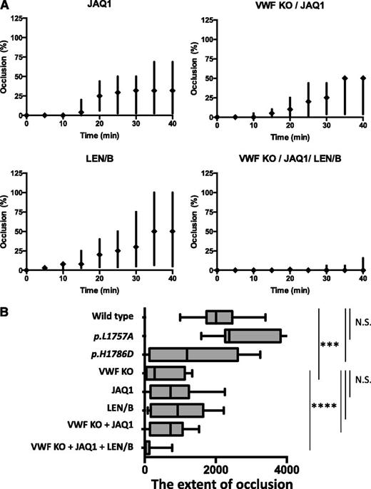 Figure 7. Platelet- and VWF-mediated–collagen binding in a ferric chloride-induced cremasteric arteriolar injury model. (A) Impact of GPVI and α2β1 depletion in the ferric chloride injury model. Occlusion time course with the following mice: VWF−/− expressing WT-mVWF, treated with JAQ1 (GPVI depletion) (n = 6), LEN/B (α2β1 depletion) (n = 9), and VWF−/− mice treated with JAQ1 (n = 9) or both JAQ1 and LEN/B (n = 8). The impact of JAQ1 was similar to VWF−/−. However, the combination of both did not demonstrate further inhibition. LEN/B-treated mice demonstrated a milder phenotype. Treatment of both JAQ1 and LEN/B in VWF−/− mice markedly inhibited thrombus formation, although residual initial platelet adhesion was observed. (B) Summary of the extent of vessel occlusion in the intravital experiments. Box-and-whisker plots of occlusion extent for each injury condition. The extent of occlusion with each injury was defined as the integrated occlusion time course, determined by area under the curve using the trapezoidal rule. Median and interquartile range are shown. ***P < .001, ****P < .0001.
