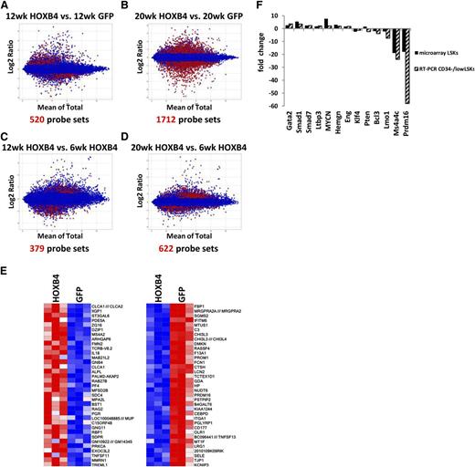 Figure 3. Identification and validation of HOXB4 target genes. Bland-Altman plots showing comparative gene expression between (A) 12-week HOXB4-LSK cells and 12-week GFP-LSK cells, (B) 20-week HOXB4-LSKs and 20-week GFP-LSKs, (C) 12-week HOXB4-LSKs and 6-week HOXB-LSKs, and (D) 20-week HOXB4-LSKs and 6-week HOXB4-LSKs. The y-axis indicates the magnitude of change for a given probe set and the x-axis the average of the signal observed for a given probe set on the Mouse HT_MG_430_PM array. The red dots represent differentially expressed probe sets with a >0.5-log differential expression and FDR < 0.05. (E) Heatmap of the top upregulated and downregulated genes from 20-week HOXB4-LSKs compared with 20-week GFP-LSKs. Each column contains data from an independent replicate of the designated experimental group. Red represents upregulated genes, and blue boxes represent downregulated genes. (F) Quantitative RT-PCR measurement of differential gene expression for 13 HOXB4-regulated genes in CD34−/low LSK cells harvested at 20 weeks posttransplantation. This is compared with the expression microarray results of the same genes. The fold change is indicated for HOXB4-transduced cells relative to GFP control cells.
