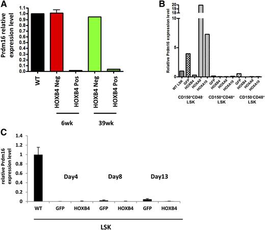 Figure 6. HOXB4 specific repression of Prdm16 in HSCs in vivo. (A) Quantitative RT-PCR for expression of Prdm16 mRNA in LSK cells harvested from transplanted mice at 6 weeks and 39 weeks posttransplantation. Cells were sorted based on expression of the HOXB4-YFP vector with negative cells serving as the control population. (B) Quantitative RT-PCR for expression of Prdm16 mRNA in GFP-, HOXB4-, HOXA9-, or HOXA10-transduced CD150+CD48−LSK cells, CD150+CD48+LSK cells, and CD150−CD48+ LSK cells from 6-week transplanted mice. Downregulation of Prdm16 by HOXB4 and upregulation of Prdm16 by HOXA9 or HOXA10 were detected in HSCs only. Low or no Prdm16 expression was detected in restricted HPCs compared with wild-type LSK cells. (C) Quantitative RT-PCR for expression of Prdm16 mRNA in GFP- and HOXB4-transduced LSKs 4 days, 8 days, and 13 days posttransduction. No Prdm16 expression was detected either GFP- or HOXB4-transduced LSK cells at any time point compared with wild-type LSK cells. In all panels, the expression level of Prdm16 in wild-type LSK cells was set to a control value of 1.0 and expression of Gapdh mRNA was used as internal control. WT, wild-type.