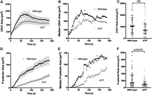 Figure 4. Loss of β3 integrin tyrosine phosphorylation attenuates platelet activation following vascular injury in vivo. Total platelet accumulation and α-granule secretion were monitored following laser-induced injury in mouse cremaster arterioles using fluorescently tagged antibodies against mouse CD41 and P-selectin, respectively. The graphs in panels A-B and D-E show total platelet accumulation (CD41-positive area; A, mean ± SEM; B, median) and α-granule secretion (P-selectin–positive area; D, mean ± SEM; E, median) over time in WT (black circles) and diYF mice (gray triangles). Graphs in panels C and F show peak thrombus (C) and P-selectin–positive (F) areas for WT and diYF mice. The horizontal line and error bars indicate median and interquartile range. For WT, n = 38 thrombi from 7 mice and for diYF n = 41 thrombi from 6 mice. Statistics were calculated using the Mann-Whitney test for nonparametric data.