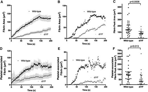 Figure 6. Loss of β3 integrin tyrosine phosphorylation attenuates fibrin formation following vascular injury in vivo. (A-C) Total fibrin accumulation was monitored following laser-induced injury in mouse cremaster arterioles using a fluorescently tagged antibody that specifically recognizes mouse fibrin. The graphs in panels A and B show total fibrin area (A, mean ± SEM; B, median) over time. Panel C shows peak fibrin area for WT and diYF mice. The horizontal line and error bars indicate median and interquartile range. (D-F) Platelet-associated fibrin was defined as the area that was positive for both fibrin and CD41 fluorescence. The graphs in panels D and E show platelet-associated fibrin area (D, mean ± SEM; E, median) over time. Panel F shows peak platelet-associated fibrin area for WT and diYF mice. For WT, n = 30 thrombi from 6 mice and for diYF n = 19 thrombi from 4 mice. Statistics were calculated using the Mann-Whitney test for nonparametric data.