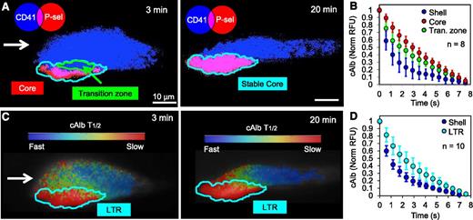 Figure 3. Transport properties of the transition zone. (A) A representative image of a thrombus at 3 minutes and 20 minutes postinjury showing platelet deposition (blue) and P-selectin exposure (red) at 3 minutes and 20 minutes. Also shown are the stable core (cyan outline) 20 minutes postinjury, and the transition zone (green outline) at 3 minutes postinjury. (B) Eight of the injuries had transition zones (green) large enough (>10 μm2) to be analyzed in addition to the core (red) and shell (blue) regions for their average cAlb decay curves (±SD). (C) For those same images in panel A, the resulting cAlb t1/2 time heat maps are shown with the LTR highlighted (cyan). The LTR is defined as the P-selectin(+) region plus the transition zone (ie, the P-selectin(+) region at 20 minutes postinjury). (D) Analysis of the LTR (cyan) transport compared with the shell (blue) transport properties using cAlb.