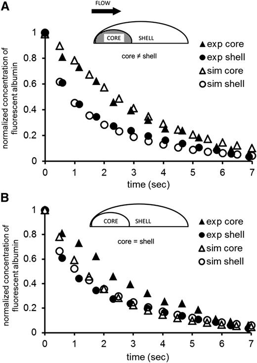 Figure 4. Solute transport can be computationally reproduced. The diagram of the geometry used to simulate the solute transport process is shown above each graph. The hemostatic plug is designed as a combination of 2 homogeneous regions, denoted as “core” and “shell,” in which physical characteristics such as packing density and fibrin content are defined by porosity, permeability, and effective diffusivity. The graphs show data (Welsh at al3) and simulations of caged fluorescent albumin transport. The vertical axis shows the normalized concentration of fluorescent albumin from experimental data and simulations. Solute transport is faster in the shell than in the core in vivo. These phenomena can be computationally reproduced only by assuming that the core and shell have different packing densities (A) and not otherwise (B).