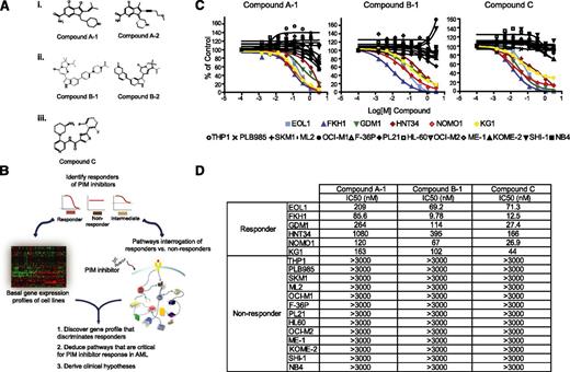 Figure 1. A subset of AML cell lines is sensitive to PIM kinase inhibitors. (A) Structures of 5 PIM kinase inhibitors representing 3 unique chemical scaffolds. (B) Schematic of the strategy employed to identify and molecularly characterize responders to PIM kinase inhibition. (C) The specified AML cell lines were treated with 3 diverse scaffolds of PIM kinase inhibitors at 8 concentrations (1:3 serial dilutions with maximal concentration of 3 µM). The distinctive sensitivity of a subset of AML cell lines to the impediment of PIM kinase activity is consistent across all 3 compounds tested, indicative of the on-target cellular response. (D) Summary of IC50 values of each PIM inhibitor used across responders and nonresponders.