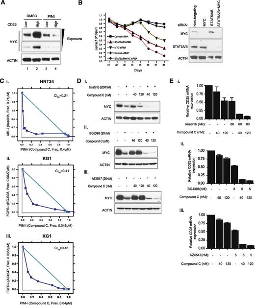 Figure 6. Combination of a PIM inhibitor with tyrosine kinase inhibitors achieves synergistic effect on cancer cell growth and biomarker suppression. (A) Modulation of MYC protein expression by a PIM inhibitor in high CD25 subpopulation. KG1 cells were sorted according to the level of CD25 functional expression. The MYC protein level of the top 1% of CD25-positive cells was compared with that of CD25-negative cells in the presence of DMSO or compound C. (B) Comparison of growth suppression by depleting MYC, STAT5, or both, with siRNAs. Sustained knockdown of endogenous STAT5, MYC, or both was achieved by daily exposure of cells to Accell siRNAs (see supplemental Methods) over the course of experiments. Culture volume was diluted 1:1 every day to avoid overconfluency and to ensure the optimal growth of cells. (C) Assessment of synergistic cell growth inhibition. HNT34 (i) and KG1 (ii,iii) cell lines were treated with a combination of compound C/imatinib or compound C/pan-FGFR inhibitors. Combination index (CI) value less than 0.5 denotes significant synergism of combinatorial compound treatment. (D) Effect of compound C/imatinib or compound C/pan-FGFR inhibitor combination on MYC protein expression. (E) Effect of compound C/imatinib or compound C/pan-FGFR inhibitor combination on CD25 mRNA levels.