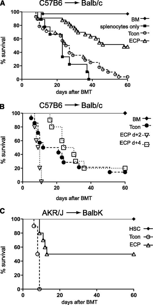 Figure 1. Exposure to host-type apoptotic cells 48 hours prior, but not after BMT improves survival in GVHD models. (A) ECP treatment 48 hours prior to BMT in C57BL/6→BALB/c mice improves survival. BALB/c mice injected with C57BL/6 TCD-BM plus Tcon only (○, n = 29) or with prior injection of ECP-treated BALB/c cells (△, n = 32) or with prior injection of 8MOP but no UV light-treated BALB/c cells (▪, n = 9). ○ vs △, P < .0001 (median survival, 26 vs 59 days). (B) ECP treatment 2 or 4 days after BMT does not improve survival. BALB/c with TCD-BM plus Tcon only (●, n = 10) or followed by ECP treatment with C57BL/6 cells at day +2 (▿, n = 10) or day +4 (□, n = 10). (C) ECP treatment 48 hours prior to BMT across minor histocompatibility barriers in AKR/J→BALB.K improves outcome. BALB.K injected with purified AKR/J HSC and Tcon alone (○, n = 10) or with prior injection of ECP-treated BALB.K cells (△, n = 10). ○ vs △, P = .0002 (median survival, 8 vs 37 days). Significance was assessed using the log-rank test.
