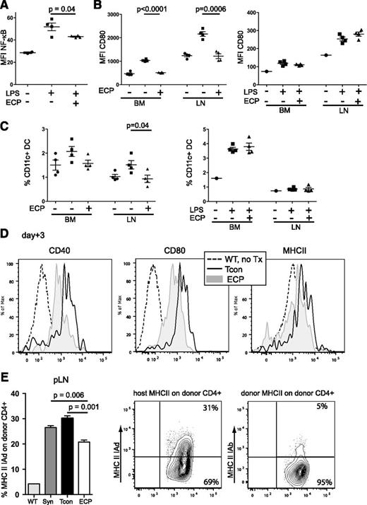 Figure 2. Uptake of apoptotic cells reduces NF-κB activation and costimulatory molecule expression in host DCs and diminishes MHCII uptake in donor T cells. (A) NF-κB activation in LPS-challenged BM-DCs is reduced in ECP-treated mice. Non-ECP-treated (▪) or ECP-treated mice (▲) were challenged with LPS (10 μg/mouse IV) 48 hours after ECP treatment and NF-κB activation was measured by phospho-flow staining. BM cells from unchallenged nontreated mice served as baseline control (●). MFI, Non-ECP-treated (▪) vs ECP-treated (▲), P = .04. (B) CD80 expression of DCs is reduced after ECP treatment but restored in the presence of danger signals during ECP treatment. Left, DCs in non-ECP-treated (▪) or ECP-treated (▲) mice were activated with LPS (10 μg/mouse IV) 48 hours after ECP treatment and harvested 18 hours after activation. MFI of CD80: (▪) vs (▲) in BM, P < .0001, or pLN: P = .0006. Right, Non-ECP-treated (▪) or ECP-treated (▲) mice received additional LPS (10 μg/mouse IV) at time of ECP treatment 48 hours prior to harvest. CD80 expression is restored in BM and pLNs. Unchallenged BM cells from untreated mice served as baseline control in both experiments (●). (C) DC frequency is reduced after ECP treatment but restored in the presence of additional danger signals during time of ECP treatment. Proportional contributions to cellular content of BM-DCs and pLN DCs from mice in panel B are shown. (D) Expression of costimulatory molecules in host-type DCs (H2d) is reduced at day +3 after BMT in ECP-treated mice. Histograms with MFI of CD40, CD80, and MHCII on host-type DCs (H2d) from representative animals are shown. (E) Trogocytosis is lower in ECP-treated mice. CD4+ T cells were isolated from pLN at day +5 post-BMT from untreated mice (WT), syngeneic BMT (BALB/c CD45.1→BALB/c, CD45.2; Syn) and allogeneic BMT (C57BL/6, H2b→BALB/c, H2d) with Tcon alone (Tcon) or plus ECP treatment (ECP) and analyzed for uptake of host MHCII-IAd (H2d) or donor MHCII-IAb (H2b). pLN: Tcon vs ECP, P = .001. WT represents MHCII expression on CD4+ T cells during steady state in untreated mice. (A-E) One representative experiment with at least 4 mice per group of 2 independent experiments is shown. Error bars indicate mean ± SEM and significance was assessed by 2-tailed Student t test. MFI, mean fluorescence intensity; SEM, standard error of the mean.