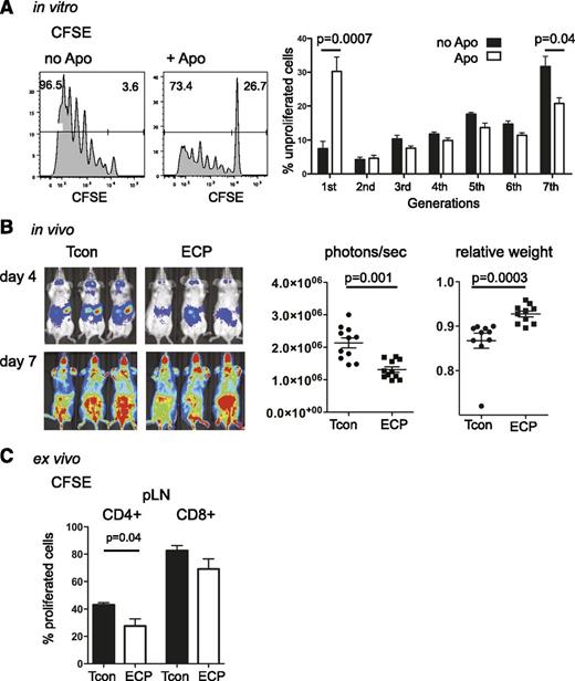 Figure 3. Apoptotic cells reduce T-cell proliferation in vitro and in vivo. (A) In vitro, T-cell proliferation is significantly reduced in MLR cultures of whole splenocytes, cultured with or without apoptotic cells for 48 hours, irradiated with 30 cGy and followed by coculture with CFSE-labeled allogeneic T cells for 96 hours at a ratio 2:1. FACS histogram of CFSE dilution profile (left) and bar graphs displaying the proportions of unproliferated T cells (right) are shown. (B) In vivo, Quantification of T-cell proliferation shows significant reduction in ECP-treated mice. BLI on day +4 (left, upper panel) shows a significant reduction in T-cell proliferation among ECP-treated mice, no difference in BLI signal is observed at day +7 between both groups (left, lower panel). Quantification of photons per second per mouse (middle; P = .001) and relative weight loss (right; P = .0003) of transplanted mice at day +4 is shown. (C) Ex vivo, Proportion of T-cell proliferation in reisolated CFSE-labeled Tcon at day +4 is shown. CD4+ and CD8+ T cells show lower proliferation index in ECP-treated mice. Results were done in triplicates (A) and represent 3 independent experiments or (B) are a composite of 2 independent experiments or (C) are representative for 2 individual experiments with a total of 8 to 11 mice per group. Error bars indicate mean ± SEM and significance was assessed by 2-tailed Student t test.