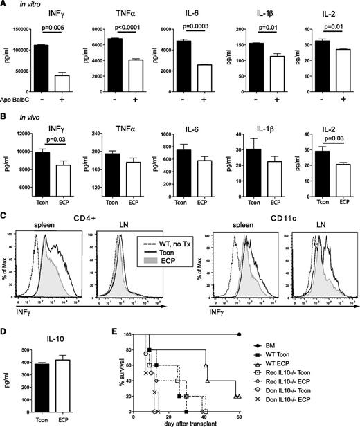 Figure 5. ECP treatment reduces proinflammatory cytokine secretion in vitro and in vivo and requires host type IL-10 for its beneficial effect. (A) Proinflammatory cytokine secretion into supernatants of MLR cultures is reduced in cells cocultured with apoptotic cells. Purified DCs were cultured with or without apoptotic cells for 48 hours, stimulated with LPS (2 μg/mL) and cocultured with freshly isolated allogeneic Tcons. Supernatants were harvested after 96 hours. (B) Proinflammatory cytokines are reduced in serum of mice treated with ECP, although statistical significance was only reached for INFγ and IL-2. Serum was obtained 5 days post-BMT. (C) Intracellular INFγ production is reduced in mice treated with ECP 4 days after transplantation. Single-cell suspension from LN and spleen were restimulated for 5 hours with PMA and Ionomycin in the presence of Monensin. (D) Serum analysis of IL-10 at day +5 shows marginal increase in ECP-treated group. (E) Host-type IL-10 is required for beneficial effect of ECP treatment. WT BALB/c recipients received either WT donor C57BL/6 Tcon (WT-Tcon, WT-ECP) or IL10-deficient donor C57BL/6 Tcon (Don IL10−/−Tcon; Don IL10−/−ECP) and IL10-deficient BALB/c recipient mice received WT C57BL/6 donor Tcon (Rec IL10−/−Tcon; Rec IL10−/−ECP). ECP was performed with WT BALB/c splenocytes. Rec IL10−/−ECP group showed no beneficial effect of ECP as compared with WT-Tcon or Rec IL10−/−Tcon group. Don IL10−/−Tcon and Don IL10−/−ECP showed accelerated death as compared with all other groups. Results were done in triplicates (A) and are representative of 3 individual experiments or (B,D) are representative of 2 individual experiments with 10 mice per group or 4 mice per group (C) or are representative of 2 independent experiments with n = 5 mice per group (E). Don, donor; Rec, recipient.