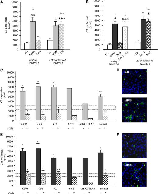 Figure 2. aHUS serum induces C3 and C5b-9 deposition on microvascular endothelial cells (HMEC-1). (A-B) Endothelial surface area covered by C3 (A) or C5b-9 (B) staining after incubation of unstimulated (resting) or ADP-activated HMEC-1 for 4 hr with serum (diluted 1:2 in test medium) from healthy subjects (Ctr; n = 4) or from aHUS patients (C3: n = 3, 1 with CFH mutation, 1 with anti-CFH antibodies, and 1 without identified mutations/anti-CFH antibodies; C5b-9: n = 7, 3 with CFH mutation, 1 with anti-CFH antibodies, and 3 without identified mutations/anti-CFH antibodies) studied both during the acute phase of the disease (Acute) and at remission (Rem) or from 7 aHUS patients studied in the acute phase only (panel B, C5b-9, acute only, all without identified mutations/anti-CFH antibodies). Data are mean ± standard error (SE). ^P < .01 vs control resting; °°P < .01, °°°P < .05 vs control ADP-activated; &P < .001, &&P < .01, &&&P < .05 vs remission resting. (C,E) Endothelial surface area covered by C3 (C) or C5b-9 (E) staining after incubation of ADP-activated HMEC-1 for 4 hr with serum from aHUS patients studied in remission (C3: n = 25, CFH mutations: n = 10; CFI mutations: n = 4; C3 mutations: n = 3; CFB mutation: n = 1; anti-CFH antibodies: n = 2; without identified mutations/anti-CFH antibodies: n = 5 ; C5b-9: n = 29, CFH mutations or CFHR1/CFH hybrid gene: n = 12; anti-CFH antibodies: n = 2; CFI mutations: n = 4; C3 mutations: n = 3; CFB mutation: n = 1; without identified mutations/anti-CFH antibodies: n = 7), in the presence or not of the complement inhibitor sCR1 (150 μg/mL). Range of deposits induced by control serum (mean ± SE): dotted horizontal areas. (D,F) Representative confocal microscopy images of C3 (D, in green) or C5b-9 (F, in green) staining of ADP-activated HMEC-1 exposed to serum from an healthy subject (Ctr) or an aHUS patient in remission (aHUS) (original magnification ×400). Additional images are shown in supplemental Figure 11. Data are mean ± SE. °P < .001, °°°P < .05 vs control serum; *P < .001, **P < .01 vs aHUS serum without sCR1. Both C3 and C5b-9 deposits were prevented by addition of sCR1 (an inhibitor of all the 3 complement pathways) to patient serum, indicating that the staining was specifically related to complement activation products. mut, mutation.