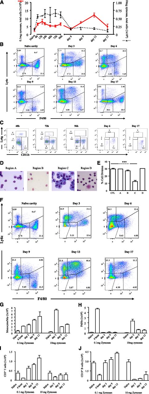 Figure 1. Inflammation in response to low- vs high-dose zymosan in the mouse peritoneum. (A) Either 0.1 or 10 mg of zymosan was injected into the peritoneal cavity of separate groups of mice. (B) Polychromatic flow cytometry is shown carried out on inflammation driven by 0.1 mg of zymosan, highlighting monocyte/macrophage populations, whereas (C) depicts, among other cells types MDSCs, alongside their (D) histological appearance and ability to (E) suppress T-cell proliferation. (F) In contrast, flow cytometry is shown carried out on inflammation driven by a more aggressive dose of 10 mg of zymosan, highlighting monocyte/macrophage populations, whereas (G-H) summarizes the relative temporal profiles of monocyte/macrophages andPMNs in these 2 models. (I-J) Profiles of lymphocytes are shown. Data are presented as mean ± SEM for n = 8 mice/group. ***P < .005.