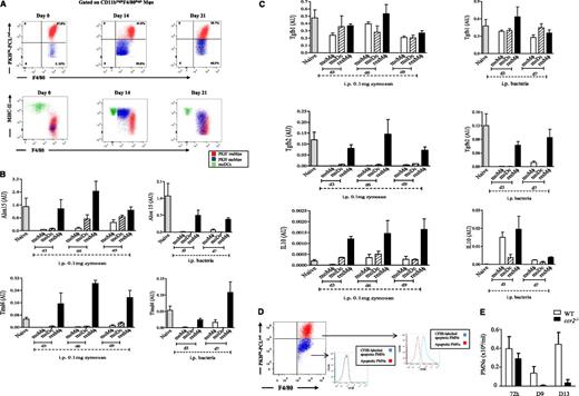 Figure 3. Aspects of resolution-phase Mφ phenotype are conserved between sterile and infections resolving inflammation. (A) The temporal profile in resMφs, moMφs, and DCs are shown throughout the inflammatory and postresolution response to S pneumoniae. These cells, as well as the equivalent population from 0.1 mg of zymosan, were shown (B-C) FACSorted and subjected to reverse transcription polymerase chain reaction. Injecting CFSE-labeled apoptotic PMNs into the peritoneum 48 hours post 0.1 mg of zymosan confirmed that (D) resMφs preferentially phagocytosed apoptotic PMNs with a little role for moMφs in this process; data confirmed using (E) Ly6chi-deficinet ccr2−/− mice showing no buildup of PMNs in the cavity postresolution. Data are presented as mean ± SEM for n = 6 mice/group. i.p., intraperitoneal.