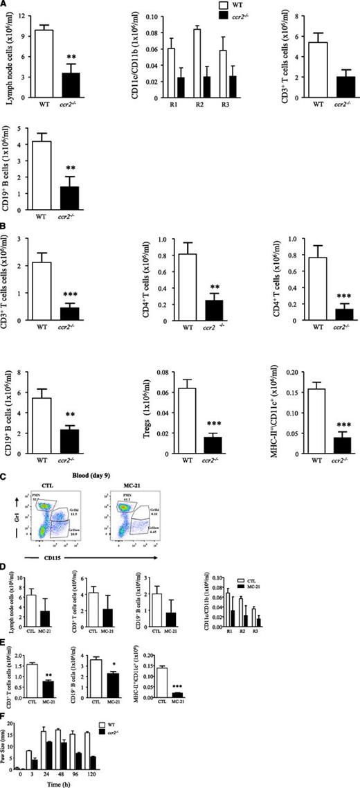 Figure 6. Postresolution adaptive immunity is dampened in ccr2−/− mice and with therapeutic depletion of postresolution Ly6chi monocyte. Zymosan (0.1 mg) was injected into ccr2−/− mice after a determination of (A) mesenteric lymph node CD11c+ DCs (R1), CD11c+/CD11b+ Mφs (R2), and CD11b+ Mφs (R3), as well as CD3 and CD19 T and B cells on day 9. (B) The corresponding distribution of lymphocyte populations in the peritoneum at the same time point is shown. MC-21 was given to WT mice 3 days after zymosan, and its effect on (C) Ly6chi monocyte populations was determined in the blood of naive animals and (D) mesenteric lymph node lymphocyte and Mφs/DCs alongside (E) lymphocytes and Mφs/DCs in the peritoneum day 9 post-zymosan injection (0.1 mg). (F) Reduced inflammation in ccr2−/− mice bearing a delayed type hypersensitivity reaction is shown. The P value was ≤.05, as determined by ANOVA, followed by the Bonferroni t test or two-tailed Student t test, with data expressed as mean ± SEM for n = 6 mice/group. *P ≤ .05; **P < .01; ***P < .001.
