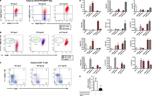 Figure 7. A state of adapted homeostasis is experienced after resolving inflammation. PKH26-PCLred was injected into the cavity of naïve WT and ccr2−/− mice followed 2 hours later by 0.1 mg of zymosan. Six days after zymosan PKH26-PCLgreen was injected to distinguish resMφs (PKH26-PCLgred and PKH26-PCLgreen) from infiltrating moMφs/DCs (PKH26-PCLgreen only). The peritoneal cavity of these mice was examined 60 days after the initial zymosan injection revealing (A) a population of moMφs that were PKH26-PCLgreen, but were absent in ccr2−/− mice alongside (B) moDC numbers and (C) T-cell activation markers. (D) The resMφs and moDCs were FASCsorted for phenotypic analysis, whereas (E) the impact of postresolution altered homeostasis to a second hit of S pneumonia was determined on day 60. The P value was ≤.05, as determined by ANOVA, followed by the Bonferroni t test or two-tailed Student t test, with data expressed as mean ± SEM for n = 6 mice/group. *P ≤ .05; **P < .01; ***P < .001.