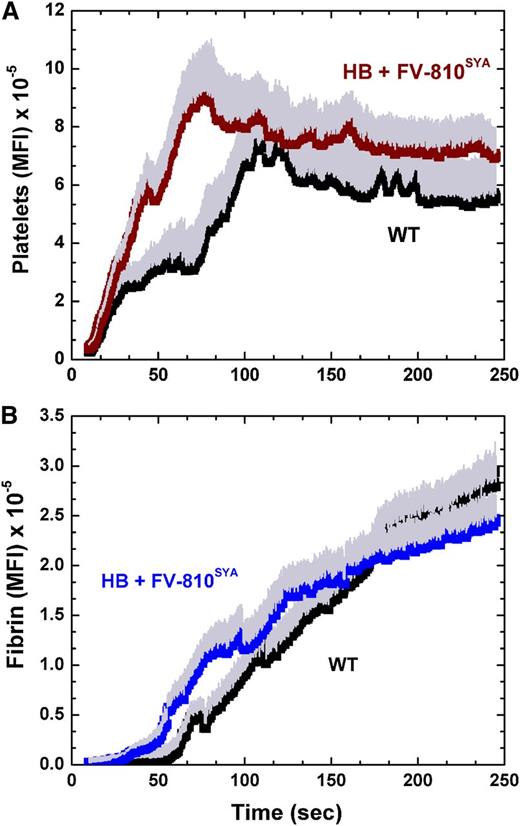 Figure 1. Hemostatic plug formation in wt and HB mice with FV-810SYA. Quantitative analysis of platelet (A) and fibrin accumulation (B) over time after laser injury to cremasteric arterioles in wt mice (n = 5; 23 thrombi), and HB mice treated with FV-810SYA (n = 5; 22 thrombi; 600 µg/kg). The kinetics of platelet and fibrin accumulation were examined by monitoring the fluorescent intensity at the site of the injury using an Alexa555-labeled rat anti- CD41 F(ab)2 and Alexa488-labeled anti-fibrin antibodies. Median fluorescence intensity (MFI) for platelets (A) and fibrin (B) fluorescence are plotted vs time. For both platelets and fibrin accumulation, there is no statistically significant difference (P > .1) in MFI (evaluated at 30-second intervals) between wt mice and HB + FV-810SYA by the Wilcoxon rank-sum test.