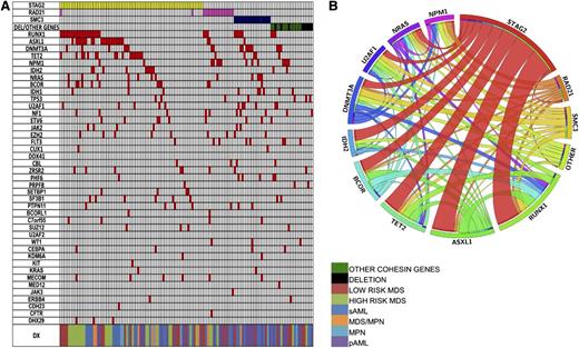 Figure 2. Cooccurring somatic mutations in cohesin mutant patients. (A) Mutually exclusive cohesin gene mutations and cooccurring somatic genetic events. (B) Somatic mutational correlation in cohesin mutant/deletion cases.