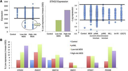 Figure 5. Analysis of cohesin expression identifies a discrete subset of low expressors. (A) Expression of STAG2 in MDS and pAML subtypes. A discrete subset of patients exhibit low STAG2 expression defined as <2 standard deviations below the mean as compared with 17 healthy donors. This was more prevalent in patients with high-risk MDS and non–core binding factor AML without complex cytogenetics. (B) Percent of low expressors in cohesin genes. The frequency of cohesin low expressors for each cohesin complex gene (STAG2, RAD21, SMC1A, SMC3, STAG1, and PDS5B) is shown by disease subtype. STAG2 was most commonly underexpressed in high-risk MDS, whereas RAD21 was most commonly underexpressed in the remaining myeloid malignancies. SD, standard deviation.
