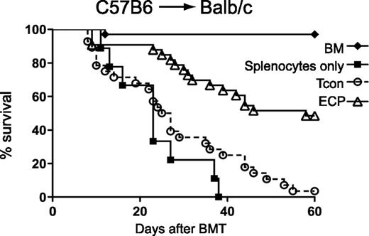 Exposure to apoptotic cells prior to BMT improves survival. BALB/c mice were injected with C57BL/6 BM plus conventional T cells (Tcon) only (circles) or with prior injection of ECP-treated BALB/c-treated cells (triangles) or with prior injection of BALB/c cells treated with 8MOP but no UV light (squares). See Figure 1A in the article by Florek et al that begins on page 1832.