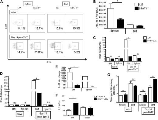 Figure 4. Transplantation of allogeneic TCD STAT1−/− BM expands CD9−Siglec Hhi pDCs in recipient spleens and BM that show poor IFNα and IL-12 production, but enhanced IL-10 production. (A) CpG stimulation of pDCs isolated from the BM or spleen of nontransplanted (naïve) STAT1+/+ and STAT1−/− mice were compared with pDCs isolated 14 days after lethally irradiated C3H.SW recipients were transplanted with TCD STAT1+/+ and STAT1−/− BM. All pDCs were analyzed by flow cytometry, by first gating on CD11b−CD11cint cells, and then by gating on B220+ and intracellular IFNα. A representative mouse is shown for each group. (B) The percentage of IFNα+ pDCs were multiplied by the splenic or BM count to calculate absolute number of cells. (C) pDCs isolated from each organ from nontransplanted (naïve) and alloHSCT recipients were also incubated with CpG and were analyzed for fold change compared with unstimulated controls for IFNα gene expression by quantitative RT-PCR, and (D) IFNα protein secretion by ELISA of cell supernatants from ex vivo cultures. In addition, pDCs isolated 14 days after alloHSCT were activated overnight ex vivo with CpG and were analyzed for (E) IL-12 gene expression and (F) IL-10 production by ELISA. (G) Lethally irradiated recipients received TCD miHA-mismatched BM from STAT1+/+ or STAT1−/− donors (129 → C3H.SW), and on day +14 pDCs from BM and spleen were analyzed for expression of CD9 and Siglec H, then the ratio of CD9−Siglec Hhi (tolerogenic) to CD9+Siglec Hlo (stimulatory) pDCs was calculated in each organ. N = 5 to 6 mice/group, data are representative from 1 of 2 similar experiments. *P < .05.