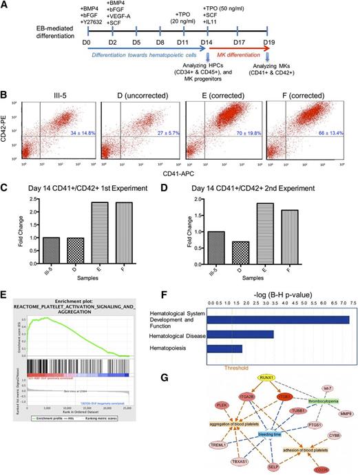 Figure 2. Hematopoietic differentiation and differential gene expression analysis of FPD and mutation-corrected iPSC lines. (A) Schematic of an improved hematopoietic differentiation method starting with embryoid body (EB) formation and ending with megakaryocyte (MK) formation. HPCs, hematopoietic progenitor cells. (B) Day 14 fluorescence-activated cell sorter analysis of differentiated cells demonstrating rescue of megakaryopoietic defects in the mutation-corrected iPSC lines (clones E and F) compared with the FPD patient iPSC line (III-5). The iPSC clone D was targeted in the wild-type RUNX1 allele, therefore the Y260X mutation was still present. (C-D) (Bar graphs) fold changes of the percentages of CD41+CD42+ MK cells in culture on day 14 for each targeted clone as compared with the patient iPSC line, III-5, in 2 independent experiments (panels C and D). (E) Gene set enrichment analysis plot distribution of the Reactome Platelet Activation Signaling and Aggregation gene set across the ranked microarray data for day 14 mutation-corrected clones E and F vs patient clone III-5. The normalized enrichment score = 1.75, the nominal P < .01, and the FDR q = .0115. A full list of genes within this gene set is presented in supplemental Table 2. (F) Selected physiological system development and functions that are significantly enriched in differentially expressed genes (DEGs) from mutation-corrected iPSC clones E and F on day 14, as identified by ingenuity pathway analysis (IPA). (Orange vertical line) cutoff threshold of the Benjamini-Hochberg multiple testing correction (B-H p-value) = .05. “Hematological System Development and Function” is the most significantly enriched pathway, “Hematological Disease” ranks sixth, and “Hematopoiesis” ranks 47th among 55 enriched pathways/categories. A full list of significantly enriched physiological system developments and functions can be found in supplemental Table 3. (G) Network representation of processes that are related to disease (green), or predicted to be either activated (orange), or inhibited (blue), because of differential expression of genes between mutation-corrected iPSC lines (clones E and F) and the FPD iPSC line III-5 from day 14. The network was constructed using IPA. A selected list of FPD-related categories and diseases are listed in supplemental Table 4. RUNX1 (highlighted in yellow), upregulated genes (shades of red), and most upregulated gene (dark red). (Arrows) indicate predicted activation (orange), inhibition (blue), or no prediction (gray).