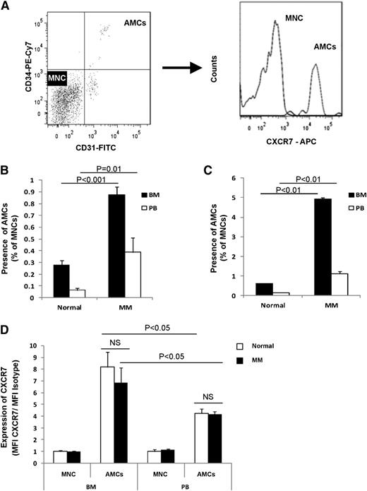 Figure 1. AMCs are more prominent in MM BM and PB and express high CXCR7. (A) Representative images for gating of AMCs (CD31+/CD34+) and MNCs (CD31−/CD34−) populations (left), and diagram of expression of CXCR7 on each of these populations (right). (B) Presence of AMCs expressed as a percentage of total MNCs in the BM and PB of MM patients and normal subjects. (C) Presence of AMCs expressed as a percentage of total MNCs in the BM and PB of mice with and without MM1.S xenografts. (D) The expression of CXCR7 on AMCs from BM and PB isolated from MM patients and healthy subjects, normalized to mean fluorescence intensity of MNCs in each sample.