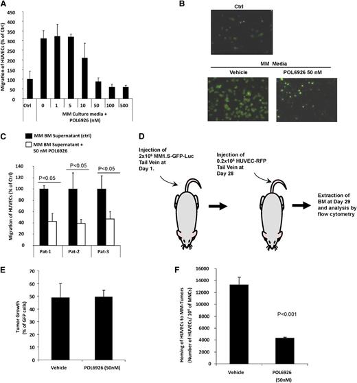 Figure 5. Inhibition of CXCR7 disrupts the homing of AMCs to MM-enriched BM niches. (A) The effect of increasing concentrations (0-500 nM) of the CXCR7 inhibitor POL6926 on migration of HUVECs to CM from MM1.S cells (24 hours incubation), normalized to the migration to non-CM as counted by flow cytometry. (B) Representative images of the effect of POL6926 (50 nM) on migration of AMCs to conditioned MM1.S media as detected by fluorescent microscopy. (C) The effect of POL6926 (50 nM) on migration of HUVECs to BM supernatant from 3 MM patients, counted by flow cytometry and normalized to migration of nontreated HUVECs in each. (D) A schematic description of the procedure. (E) The MM tumor burden of the 2 groups of MM-bearing mice. (F) The effect of CXCR7 on the homing of HUVECs, after IV injection to the BM of mice with established xenografts of MM1.S cells.