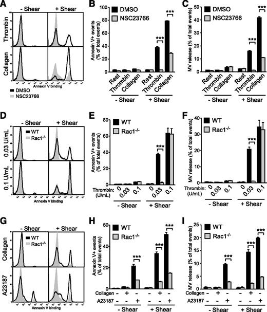 Figure 3. Flow cytometry analysis of the importance of Rac1 in shear-induced PS exposure and microvesiculation in activated platelets. (A-C) Washed human platelets (n = 3) preincubated with 0.1% DMSO or 100 µM NSC23766 were treated with or without 0.1 U/mL thrombin and 5 µg/mL collagen, in the absence or presence of shear. The samples were analyzed for Annexin V binding and MVs using flow cytometry. (A) Histograms and quantification of (B) Annexin V binding and (C) MV release are shown (mean ± SEM, n = 3). (D-F) Washed WT and Rac1−/− platelets were treated with or without 0.03 or 0.1 U/mL thrombin and with or without shear. (D) Histograms of Annexin V binding. (E) Quantification of PS exposure. (F) Quantification of MV release. (E-F, mean ± SEM, n = 4). (G-I) Washed WT and Rac1−/− platelets were treated with or without 2 μg/mL collagen and 50 nM A23187, in the absence or presence of shear (n = 8 and 4, respectively). (G) Histograms of Annexin V binding. (H) Quantification of Annexin V binding. (I) Quantification of MV release (H-I, mean ± SEM). For all data, *** represents statistical significance of P < .001.