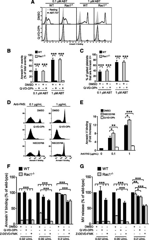 Figure 4. Rac1 regulates shear-induced PS exposure independent of caspase-induced PS exposure. (A-C) WT and Rac1−/− platelets were pretreated with 0.1% DMSO or 20 µM Q-VD-OPh, stimulated with 0.1 or 1 µM ABT-737, and analyzed using flow cytometry to detect PS exposure. (A) Representative histograms of Annexin V binding. (B) Quantification of total PS positive events (mean ± SEM, n = 3). (C) Percentage of platelets that bound Annexin V (Annexin V+) (mean ± SEM, n = 3). (D-E) Jurkat cells were treated with 0.1% DMSO, 20 µM Q-VD-OPh, or 100 µM NSC23766, stimulated with 0.1 or 1 µg/mL anti-FAS, and analyzed via flow cytometry for PS exposure. (D) Representative histograms of Annexin V binding. (E) Quantification of Annexin V-positive events (fold increase relative to the baseline; mean ± SEM, n = 7). (F-G) Washed WT and Rac1−/− mouse platelets treated with 0.1% DMSO, 20 µM Q-VD-OPh, or 40 µM Z-DEVD-FMK (in DMSO) were stimulated with increasing doses of thrombin, subjected to shear, and analyzed for (F) PS exposure and (G) MV release (mean ± SEM, n = 4). The response of thrombin-stimulated WT platelets treated with DMSO was defined as 100% for each thrombin dose. For all data, *, **, and *** represent statistical significance of P < .05, .01, and .001, respectively.