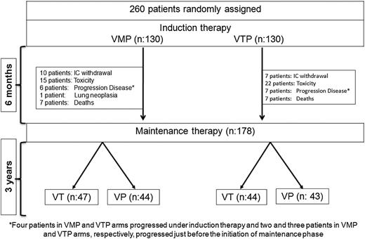 Figure 1. Trial profile. Four patients in each of the VMP and VTP arms progressed under induction therapy. Two patients in the VMP group and 3 in the VTP group progressed just before starting the maintenance phase. M, melphalan; P, prednisone; T, thalidomide; V, bortezomib.
