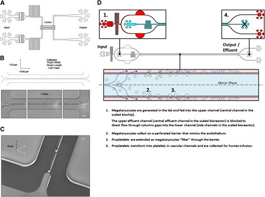 Figure 1. PLT bioreactor design. (A) PLT bioreactors are based on custom-built polydimethylsiloxane (silicon-based organic polymer) bonded to glass slides, and are comprised of an upper and lower microfluidic channel separated by a series of columns. (B) The 2 µm gaps separate columns to trap MKs entering the upper channel from crossing into the lower channel upon fluid withdrawal from the outlet of the lower channel. (C) Scanning electron micrograph of bioreactor central channels. (D) Scaled bioreactor design showing typical device operation. Scale bars represent 50 µm (B) and 5 µm (C).