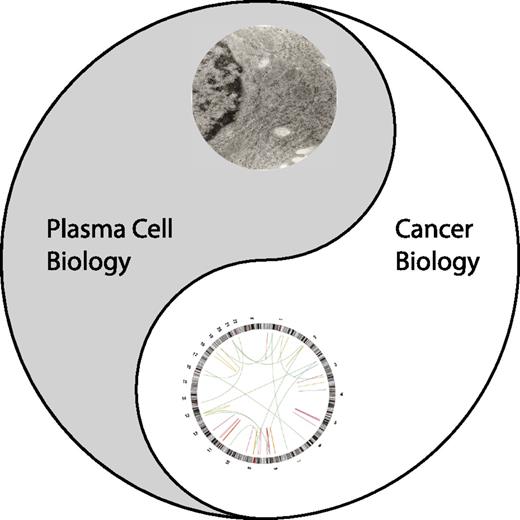 Figure 1. The Tao of myeloma. Yin represents the plasma cell biology. The eye of the Yin is an electron micrograph of the human myeloma cell line, MM.1s. Yang represents the cancer biology of myeloma. The eye of the Yang is a cirrcos plot of genomic structural variations observed in MM.1s.