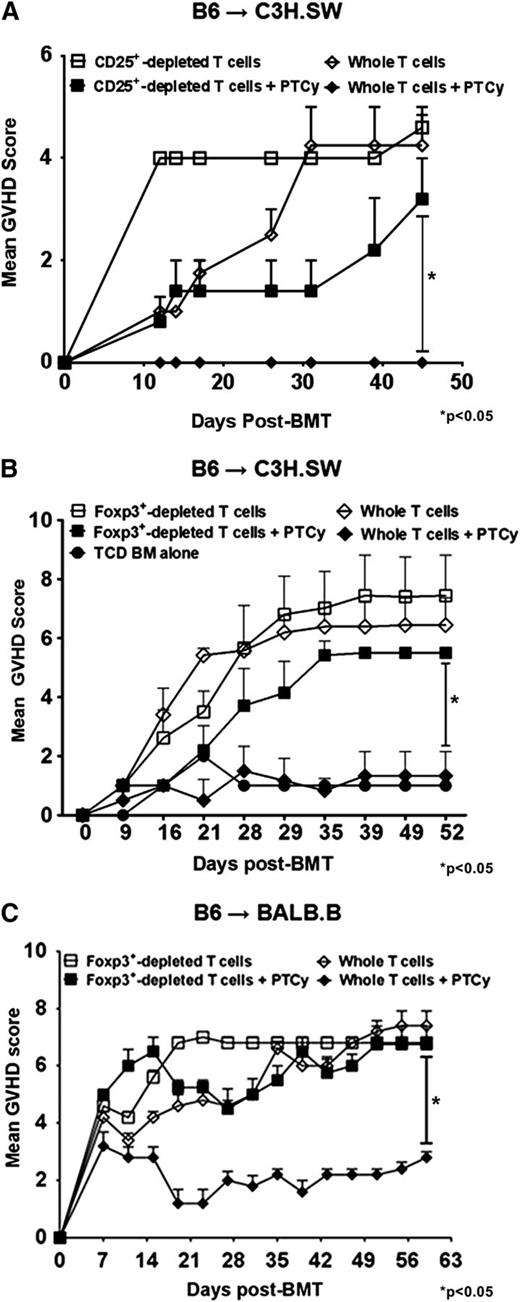 Figure 1. Absence of Tregs in donor inocula abrogates the GVHD protective activity of PTCy. (A-B) C3H.SW recipients were lethally conditioned (1050 cGy TBI) before injection of T cell–depleted (TCD) B6 CD45.1+ bone marrow and GVH inocula from either B6 or B6.Foxp3RFP CD45.2+ donors. PTCy was administered on days +3 and +4 at a dose of 33 mg/kg intraperitoneally (IP) as previously described.21 All animals were monitored twice weekly for GVHD and daily for survival until day +60, when the experiments were terminated. After the death of the last mouse in a particular group, GVHD scores at that time were carried forward in the graph depictions until the end of the experiment. (A) Mean GVHD scores of B6→C3H.SW chimeras that received GVH inocula composed of 2.2 × 106 CD4+ and CD8+ T cells from B6 CD45.2+ donors with or without CD4+ CD25hi cells. (B) Mean GVHD scores of chimeras that received GVH inocula comprised of 2.2 × 106 B6 CD4+ and CD8+ T cells from Foxp3RFP donors, with or without CD4+ Foxp3+ T cells (depleted populations contained <1.0% RFP+ cells). (n = 5-7/group). (C) Mean GVHD scores of B6→BALB/B chimeras. Lethally irradiated (775 cGy) BALB.B mice were transplanted with 107 TCD BM cells from B6 CD45.1+ donors and 12 × 106 splenocytes and cutaneous lymph node (CLN) cells from B6.Foxp3GFP (CD45.2+) donors that were replete or depleted of Foxp3GFP+ T cells via sorting. PTCy (200 mg/kg IP) was administered on day +3 post-alloBMT. Mice were scored on day +7 post-alloBMT and every 4 days thereafter until the termination of the experiments at day +60. The data represent 2 independent experiments with a total of 10 animals per group.