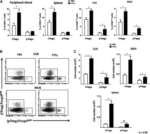 Figure 3. tTregs accumulate in all lymphoid organs of PTCy-treated chimeras, whereas generation of pTregs is most prominent in lymph nodes. Chimeras were constructed as in Figure 2, except that the GVH inocula contained 1.8 × 106 sorted CD4+ Foxp3GFP/RFP– cells (Tcons), supplemented with 2 × 105 CD4+Foxp3RFP/GFP+ (Tregs). Designated groups received PBS or PTCy (200 mg/kg IP) on day +3 after alloBMT. Animals were euthanized on day +28 and blood and organs processed and analyzed by multicolor flow cytometry. (A) Percentages of tTregs and pTregs in peripheral blood, spleen, CLNs, and mesenteric lymph nodes (MLNs). (B) Representative flow data plots gated on CD45.2+ CD3+CD4+ lymphocytes from CLNs and MLNs of a control and a PTCy-treated mouse depict proportions of Foxp3+ tTregs and pTregs. (C) Total counts of tTregs and pTregs in the CLNs, MLNs, and spleens of control and PTCy-treated chimeras. Data shown here represent 2 independent experiments with at least 10 animals per group.