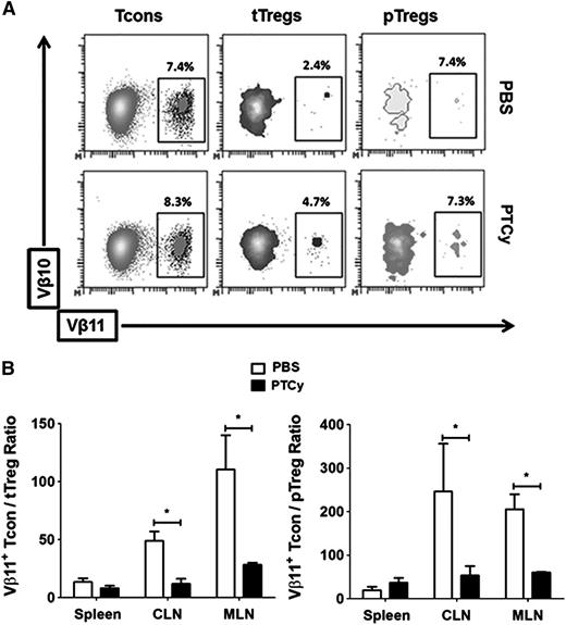 Figure 4. Higher frequency and ratios of Vβ11+ tTregs to Tcons in lymphoid organs of PTCy-treated chimeras. (A) Representative flow plots of Vβ11+ Tcons, tTregs, and pTregs from the MLNs of control and PTCy-treated chimeras. (B) Ratio of Vβ11+ Tcons to Vβ11+ tTregs (left panel) and pTregs (right panel) in spleens, CLNs, and MLNs of control and PTCy-treated chimeras. Data shown are representative of 2 independent experiments with at least 5 animals per group and were analyzed on day +28 post-alloBMT. *P < .05.