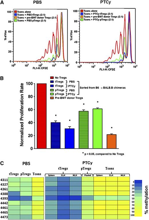 Figure 5. PTCy-treated chimeras have equally suppressive tTregs that are differentially demethylated compared with controls. (A-B) In vitro suppression. Sorted Foxp3– Tcons (CD4+ and CD8+; 1 × 105) were labeled with carboxyfluorescein succinimidyl ester (CFSE) and cultured with irradiated CD3– splenocytes (1 × 105) plus anti-CD3 (1 μg/mL) alone or with titrating numbers of sorted Tregs (CD4+Foxp3RFP+) for 96 hours. CFSE dilution was measured by flow cytometry. The overlay depicts proliferation of Tcons alone or cocultured with posttransplant (day +28) pTregs, posttransplant (day +28) tTregs, or pretransplant Tregs in a 2:1 ratio. (C) Treg-specific demethylated region (TSDR) methylation profiles. CD4+ Foxp3– Tcons, pTregs, and tTregs of different lymphoid organs from PBS- (pooled from 3 organs) and PTCy-treated alloBMT recipients (day +28) were sorted and genomic DNA isolated for bisulfite sequencing and pyrosequencing of the TSDR. Residue numbers denote individual CpG motifs in reference to the transcription initiation site of Foxp3. Bar colors represent 0% to 100% methylated regions. Data are representative of 2 independent experiments with 3 to 5 chimeras per group.