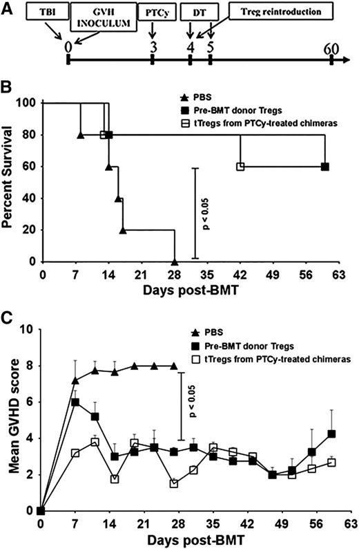 Figure 7. Reconstitution of PTCy-treated Treg-ablated recipients with DT-insensitive Tregs rescues chimeras from lethal GVHD. (A) Experimental design. Chimeras were constructed as in Figure 2 and PTCy was administered on day +3 post-alloBMT. DT (50 ng/g) was given on days +4 and +5. On day +4 post-alloBMT, groups received PBS (controls) or 2 × 105 tTregs purified from day +28 PTCy-treated chimeras as described in Figure 3 or pre-transplant Tregs from B6.Foxp3RFP donors. (B) Survival was monitored twice weekly until day +60, when the experiment was terminated. (C) Mice were scored for GVHD on day +7 and every +4 days subsequently until day +60. Data shown represent 2 independent experiments with at least 10 animals per group.