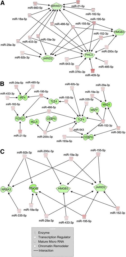 Figure 3. Regulatory networks of mRNA-miRNA interactions built through IPA. Visualization of the regulatory networks enriched for chromatin remodeling genes (A), myeloid transcription factors (B), and myeloproliferative disorder-related genes (C). Red filling means upregulation, and green filling indicates downregulation.