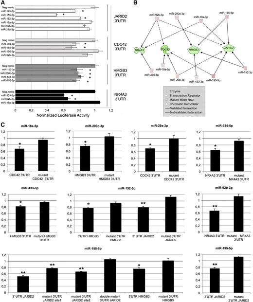 Figure 4. Validation of 3′UTR-miRNA interactions. (A) Normalized luciferase activity of K562 cells nucleofected with the indicated miRNA mimics and 3′UTR luciferase reporter vectors. Firefly luciferase activity was measured 48 hours after nucleofection and normalized to Renilla luciferase activity. Values are reported as mean ± SEM; *P < .05 vs miRNA mimic negative control (Neg-mimic). Results come from 3 independent experiments performed in duplicate. (B) Graphical representation of mRNA-miRNA interactions validated by means of 3′UTR luciferase reporter assays. Solid lines (validated interactions); dashed lines (not validated interactions). (C) Results of the luciferase reporter assays performed with wild-type and mutant 3′UTR. Assays were carried out only for the 3′UTR-miRNA interactions previously validated (A). Each bar represents the luciferase activity upon miRNA overexpression normalized on the value of the same 3′UTR luciferase vector upon Neg-mimic transfection. Values are reported as mean ± SEM; *P < .05 vs mutant 3′UTR. Results come from 3 independent experiments performed in duplicate.