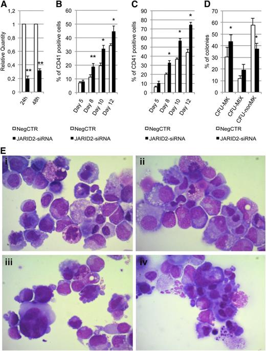 Figure 5. Effect of JARID2 silencing on normal CD34+ cell differentiation. (A) Expression levels of JARID2 at 24 and 48 hours after the last nucleofection were measured by qRT-PCR, and data are reported as RQ. (B-C) Results of the statistical analysis on the percentage of CD41+ cells performed by flow cytometry at days 5, 8, 10, and 12 after the last nucleofection on serum-free multilineage and MK unilineage cultures. (D) Results of the statistical analysis of collagen-based clonogenic assay. The cells were plated 24 hours after the last nucleofection and scored after 12 days. (E) Morphologic analysis of NegCTR (i-ii) and JARID2-siRNA (iii-iv) samples after May-Grünwald-Giemsa (MGG) staining at days 8 and 10 of MK unilineage culture after the last nucleofection in a representative experiment. Magnification, ×1000. Values are reported as mean ± SEM. **P < .01 vs NegCTR; *P < .05 vs NegCTR. The results come from 5 independent experiments.