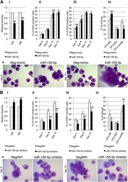 Figure 6. Transfection of miR155-5p mimic and inhibitor in normal and PMF CD34+ cells. (A) Effect of miR155-5p mimic transfection on normal CD34+ cell differentiation. (i) Expression levels of JARID2 at 24 and 48 hours after the last nucleofection, measured by qRT-PCR and reported as RQ. (ii-iii) Results of statistical analysis on the percentage of CD41+ cells performed by flow cytometry at days 5, 8, 10, and 12 after the last nucleofection on serum-free multilineage and MK unilineage cultures. (iv) Results of the statistical analysis of the collagen-based clonogenic assay. The cells were plated 24 hours after the last nucleofection and scored after 12 days. (v) Morphologic analysis of Neg-mimic and miR-155-5p nucleofected cells after MGG staining at days 8 and 10 of MK unilineage serum-free liquid culture after the last nucleofection in a representative experiment. Magnification ×1000. Values are reported as mean ± SEM. **P < .01 vs Neg-mimic; *P < .05 vs Neg-mimic. The results come from 5 independent experiments. (B) Effect of miR155-5p downregulation in PMF CD34+ cells. (i) Expression levels of JARID2 in PMF CD34+ cells at 24 and 48 hours after the last nucleofection of miR-155-5p inhibitor. The JARID2 expression was measured by qRT-PCR, and data are reported as RQ. (ii-iii) Percentage of viable CD41+ cells assessed by flow cytometry at days 5, 8, and 10 after the last nucleofection on serum-free multilineage and MK unilineage cultures. (iv) Results of the statistical analysis of the collagen-based clonogenic assay. The cells were plated 24 hours after the last nucleofection and scored after 12 days. (v) Morphologic analysis of negative control inhibitor (NegINH) and miR-155-5p inhibitor treated cells after MGG staining at days 8 and 10 of MK unilineage serum-free liquid culture after the last nucleofection in a representative experiment. Magnification ×1000. Values are reported as mean ± SEM. **P < .01 vs NegINH; *P < .05 vs NegINH. The results come from 4 independent experiments.