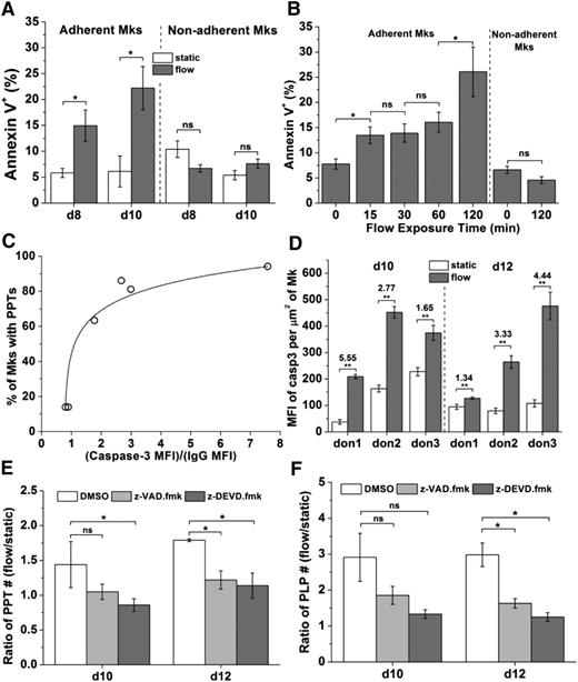 Figure 2. Shear stress promotes PS externalization and caspase-3 activation. Caspase-3 is involved in shear-stress enhanced PPTs and PLPs formation. (A) Percent of Annexin V+ Mks at days 8 and 10 after shear-flow application at 1 dyn/cm2 for 2 hours vs static control. Adherent and nonadherent Mks were analyzed separately. (B) Percent of Annexin V+ day 10 Mks exposed to 2.5 dyn/cm2 for 0 (static control), 15, 30, 60, or 120 minutes. (C) Correlation between caspase-3 activation and PPT formation of Mks under static culture conditions. X-axis: caspase-3 activation level defined as the ratio of MFI of active caspase-3 over IgG control. Y-axis: percent of Mks bearing PPTs. (D) MFI of active caspase-3 per µm2 of adherent day 10 and 12 Mks from different donors (don) after shear-flow exposure at 1.0 dyn/cm2 for 2 hours vs static control. The ratio of MFI of caspase-3 of Mks under shear-flow conditions over static control is indicated above the bars. Under shear flow, MFI values for caspase-3 activation were well above the MFI for isotype control, so there was no need to correct for isotype control. (E-F) At days 10 and 12, DMSO (vehicle control) or z-VAD.fmk (pan-caspase inhibitor) or z-DEVD.fmk (caspase-3 inhibitor) treated Mks were exposed to shear flow at 2.5 dyn/cm2 for 0.5 hour. After shear-flow exposure, PPTs and PLPs were harvested and counted. The number of PPTs (E) or PLPs (F) from 1 slide of Mks exposed to shear flow was normalized by number of PPTs or PLPs on a slide under static conditions, and the resulting ratios are plotted. Error bars indicate SEM of 3∼4 biological replicates in panel (A-B,E-F) and 6∼10 different images in panel (D). *P < .05; **P < .01. ns, not significant.