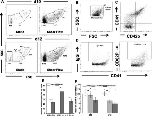 Figure 4. Shear stress exposure results in dramatically enhanced generation of MkMPs through activation of caspase-3. (A) Day 10 and 12 Mks were exposed to medium flow at a shear stress of 2.5 dyn/cm2 for 0.5 hour. Whole cells were removed and the same amount of samples, as assessed by internal microbeads control, from slides exposed to shear flow and static control were analyzed by flow cytometry. PPTs were located on the high gate, PLPs in the middle gate, and MkMPs in the low gate. The number of particles in each gate is displayed below each gate. (B) MkMPs were smaller than microbeads of 1.34 µm diameter. (C) Expression of CD41 and CD42b on MkMPs from day 12 Mk cells. (D) CD62P expression and the corresponding IgG control of CD41+ MPs from day 12 Mk cells. (E) The relative number of CD41+ microparticles generated from day 10 or day 12 Mk cells either under static conditions or upon application of shear flow at 2.5 dyn/cm2 for 0.5 hour (days 10 and 12) or 2 hours (day 10). (F) At days 10 and 12, DMSO (vehicle control) or z-VAD.fmk (pan-caspase inhibitor) or z-DEVD.fmk (caspase-3 inhibitor) treated Mks were exposed to shear flow at 2.5 dyn/cm2 for 0.5 hour. After shear flow exposure, the number of isolated MkMPs was measured by flow cytometry. The number of MkMPs from 1 slide of Mks under shear flow was normalized by the number of MkMPs on a slide maintained under static culture conditions, and the resulting ratios were plotted. Error bars indicate SEM of 3 biological replicates. *P < .01 in panel (E) and *P < .05 in panel (F).
