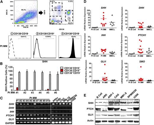 Figure 2. Expression of SHH and Hh signaling pathway components in MM cells. (A) Flow cytometry analysis for identification and selection of CD138–CD19–, CD138–CD19+, and CD138+CD19– cell populations from MM patients’ BM aspirates for expression of SHH. (B) Percentages of SHH-positive cells in each of the 3 cell populations in BM samples from 6 more MM patients. (C) RT-PCR showing the levels of mRNA for Hh signaling components in highly purified CD138+ primary MM cells from 10 MM patients (Pt MM) and 6 MM cell lines (MMCLs). (D) Real-time PCR showing the levels of mRNA for Hh signaling components in patients’ highly purified CD19+ B cells (Pt B cell; n = 4) or CD138+ primary MM cells (Pt MM; n = 10) from MM patients’ BM aspirates, and 6 MMCLs. (E) Western blotting showing protein expression of SHH, PTCH, GLI1, in MMCLs and purified CD19+ B cells from healthy donor. GAPDH, glyceraldehyde phosphate dehydrogenase.