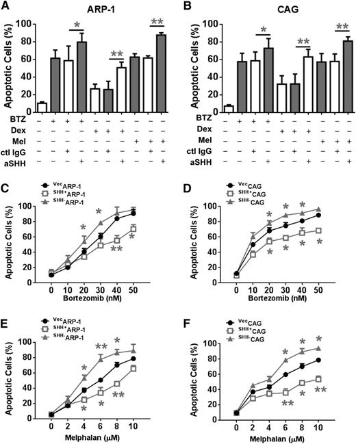 Figure 5. MM-derived autocrine and exogenous SHH induce MM-cell drug resistance. Percentages of apoptotic (A) ARP-1 or (B) CAG cells induced by BTZ (10 nM), dexamethasone (Dex; 10 μM), or Mel (5 μM) in the presence or absence of aSHH or control IgG (5 μg/mL). Also shown are percentages of apoptotic vecARP-1/CAG, SHH+ARP-1/CAG, and SHH–ARP-1/CAG cells induced by different doses of (C,D) BTZ (0 to ∼50 nM) or (E,F) Mel (0 to ∼10 μM). Apoptosis assay was performed for a 24-hour culture by using Annexin-V staining. *P < .05; **P < .01.