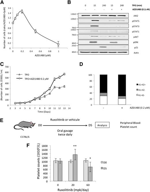 Figure 7. Low doses of JAK2 chemical inhibitors induce a paradoxical increase in MKs production both in vitro and in vivo. (A) The effect of AZD1480, a JAK2 chemical inhibitor, at different concentrations on cellular proliferation of CD34+ cells from cord blood cultured in MSS with TPO at 10 ng/mL. Cells were counted at D8. (B) CD34+ cells were cultured with TPO for 6 days. After a 12-hour cytokine starvation, these cells were restimulated with 10 ng/mL TPO with or without AZD1480 pretreatment, at 0.2 μM during 2 hours. We determined the efficacy of AZD1480 on cell signaling by immunoblotting. (C) CD34+ cells from cytapheresis were cultured in MSS with TPO, with or without AZD1480 at a concentration of 0.2 μM. Cellular proliferation was evaluated until D13 and CD41 and CD42 expression was determined by flow cytometry at D8 (D). (E) C57BL/6 mice were treated with different doses of ruxolitinib, a JAK2 inhibitor used in clinics (20 and 60 mg/kg of body weight per day) or vehicule (methocellulose 0.5%, tween 80 0.05%) by oral gavage, twice daily. Blood samples were analyzed after 5 days of treatment. (F) Platelet counts for C57BL/6 mice treated during 5 days with vehicule (n = 9), ruxolitinib at 20 mpk (n = 12), or 60 mpk (n = 9). Error bars represent mean ± standard deviation of 3 (A,F) or 2 (C) independent experiments. *P < .05; **P < .01.