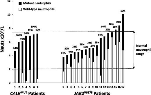 Figure 1. Absolute number and relative proportion of wild-type and mutant neutrophils in CALRMUT and JAK2V617F ET patients tested prior to receiving any cytoreductive therapy. Each bar represents an individual patient and shows the total neutrophil count at the time of testing, as well as the derived absolute number of mutant-positive and wild-type neutrophils. The latter are calculated from the relative proportion of mutant-positive neutrophils, as given above the bar, and assumes that mutant-positive cells were heterozygous for the mutation (ie, the proportion of mutated cells is double the percentage of mutant alleles).