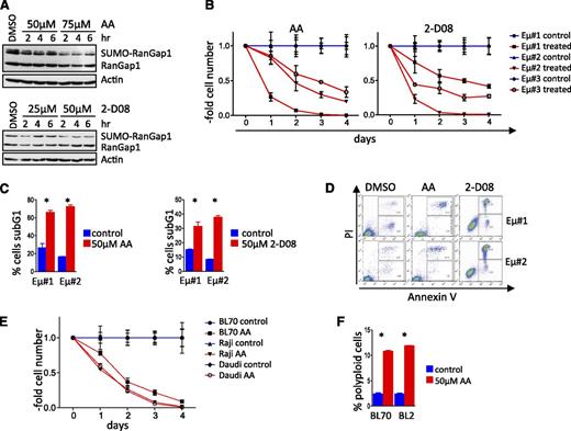 Figure 5. SUMOylation inhibitors compromise the growth and survival of Myc-driven lymphoma. (A) AA and 2-D08 are recently identified pharmacologic SUMOi that block SUMOylation of RanGap1. Immunoblot analyses of HEK293T cells treated with AA (top). Immunoblot analyses of Eµ-Myc lymphoma cells treated with 2-D08 (bottom). (B) Three different Eµ-Myc lymphoma cell lines were incubated with 50 µM AA (left) or 75 µM 2-D08 (right) and were counted at the indicated intervals (n = 3). Cell count was normalized to that of untreated control cells for each time point. (C) Cell death (sub-G1 cell fraction determined PI staining) following treatment with AA (left panel) or 2-D08 (right panel) (n = 3). (D) Primary Eµ-Myc lymphoma cells were treated with the indicated dose of AA or 2-D08. Annexin-V/fluorescence-activated cell sorter analyses was used to assess apoptosis. A representative experiment is shown. (E) Human BL cell lines were incubated with 50 µM AA and counted at the intervals indicated. Cell count was normalized to untreated controls for each time point (n = 3). (F) Human BL cell lines were treated with 50 µM AA for 48 hours and assessed by PI flow cytometry for DNA content (n = 3). DMSO, dimethylsulfoxide.