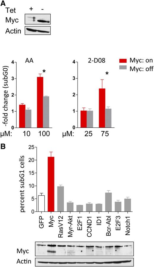 Figure 6. Synthetic lethality of Myc overexpression and pharmacologic interference with SUMOylation. (A) P493-6 cells treated with or without tetracycline (Tet) were incubated with the indicated doses of AA and 2-D08 for 24 hours. Cells were stained with PI and DNA content was determined by flow cytometry. The fold change of the sub-G1 fraction as measure for cell death is shown (n = 3). (B) Rat-1 fibroblasts stably infected with indicated oncogenes were incubated with 25 µM AA for 48 hr (top). Cells were PI stained and DNA content analyzed by flow cytometry. The sub-G1 cell fraction is shown (n = 3). Immunoblotting for Myc expression (bottom).