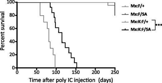 Figure 3. Blocking STAT3 S727 phosphorylation significantly increases the life of K-RasG12D animals. Kaplan-Meier survival curves of animals of the indicated genotypes. Control animals (Mx:F/+) and Mx:STAT3F/SA (Mx:F/SA) animals survived until the experiment was terminated at over 300 days. Mx:K-Ras:F/+ (Mx:K:F/+) mice died rapidly from MPNs with a median survival of 83 days. Mx:K-Ras:F/SA (Mx:K:F/SA) animals survived significantly longer (***P < .001 log-rank test) with a median survival of 115 days. Cohorts included at least 10 animals, except Mx:F/SA (5 animals).